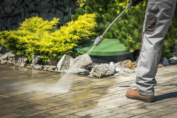 Animal Enclosure Cleaning in Omaha, TX